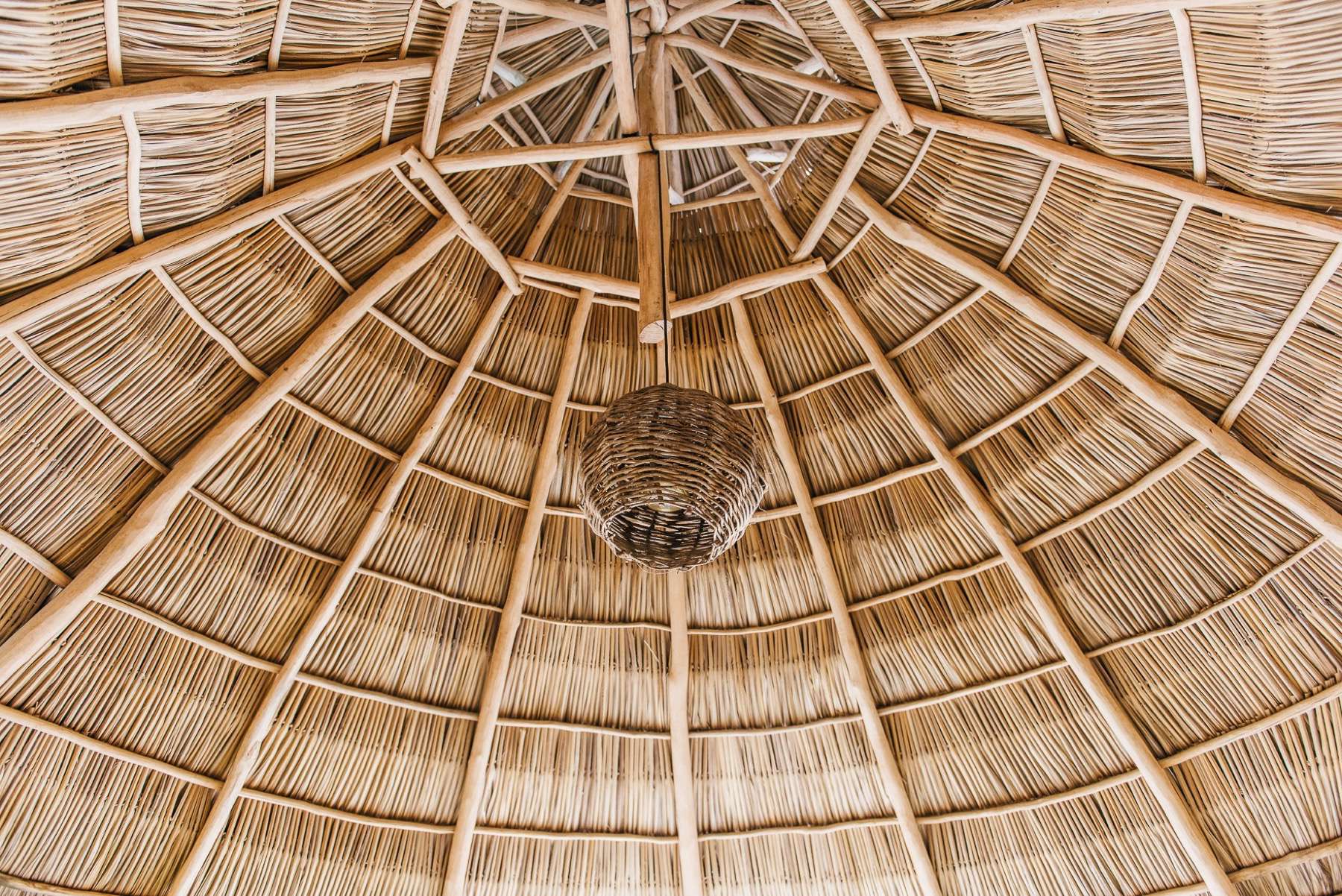 amor-boutique-hotel-la-paz-palapa-roof