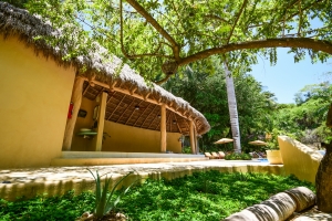 amor-boutique-hotel-in-sayulita-resort-pool-yoga-palapa