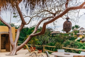 amor-boutique-hotel-la-paz-luxury-ocean-view-terrace