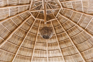 amor-boutique-hotel-la-paz-palapa-roof