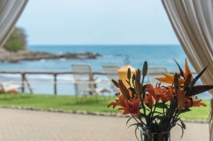 amor-boutique-hotel-la-playa-affordable-ocean-view-hotel-sayulita
