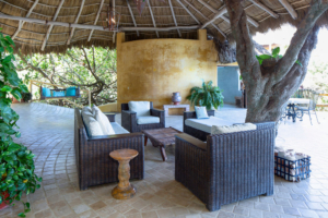 amor-boutique-hotel-sayulita-villa-arboles-ocean-view-trees-chairs